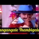 Thangangale Thambigale Song Lyrics