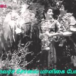 Kalyanam Nam Kalyanam Song Lyrics