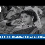 Kaalile Thandai Kalakalakka Song Lyrics